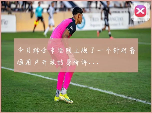 今日转会市场网上线了一个针对普通用户开放的身价评...
